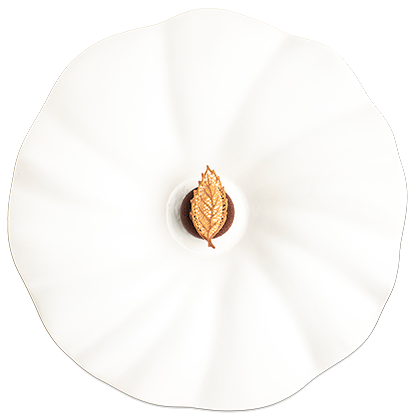 Tasting Menu Wine Pairing