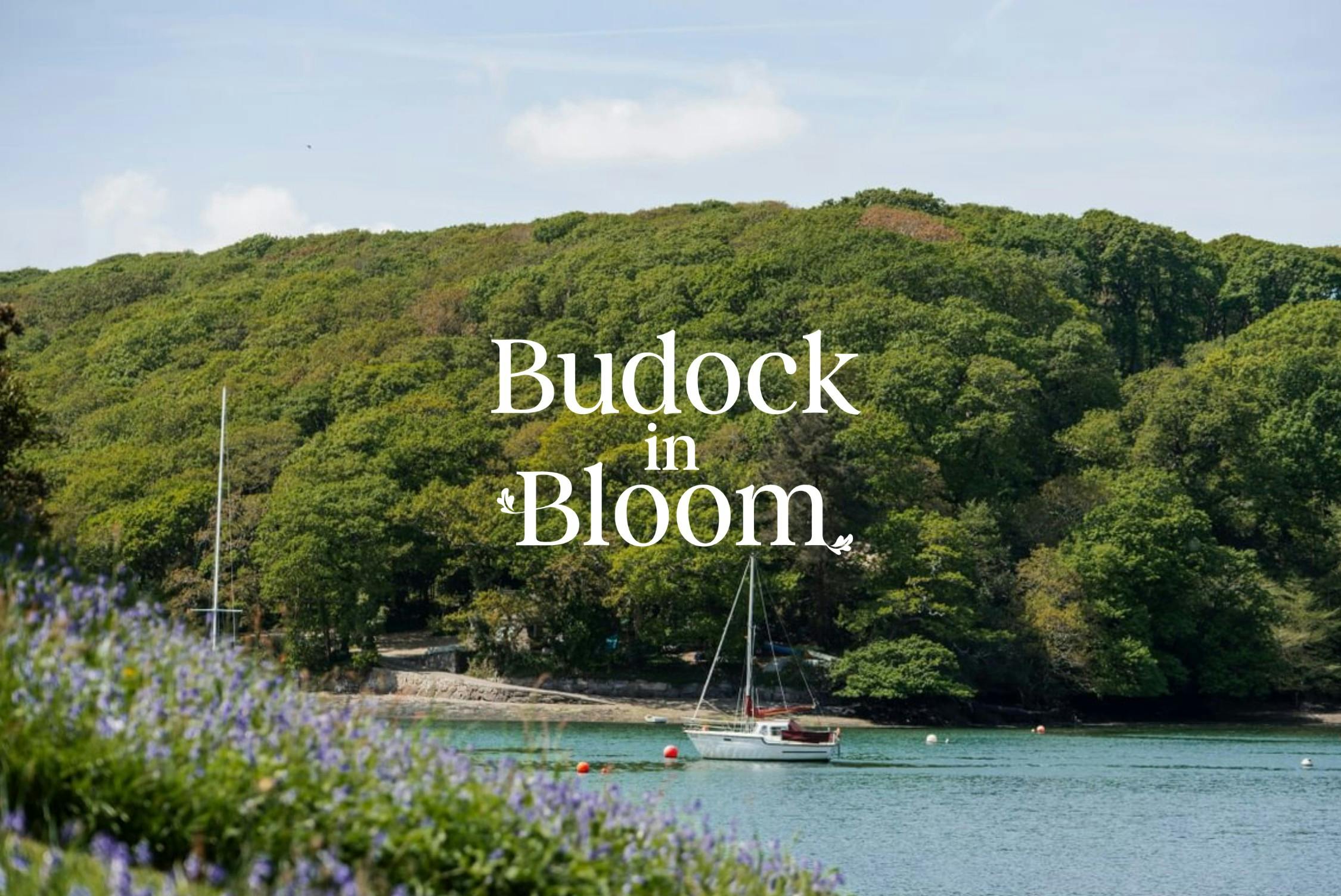 Sailboat on a calm lake with lush green trees and "Budock in Bloom" text overlay.