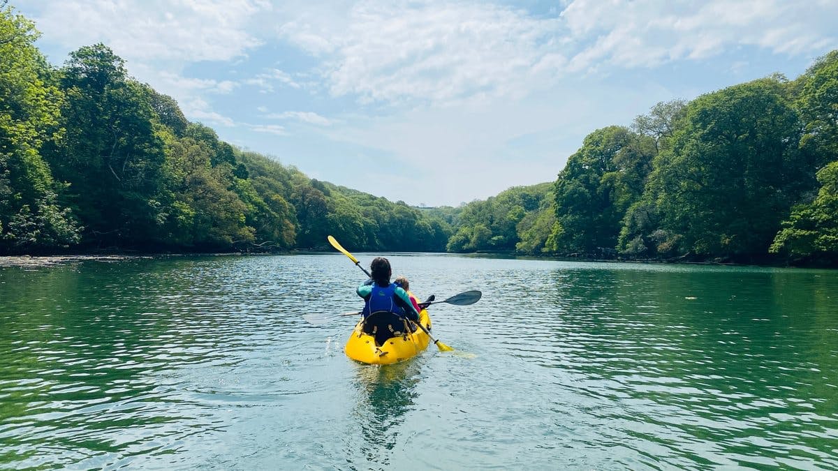 Two people kayaking on a calm river surrounded by lush green trees under a blue sky.