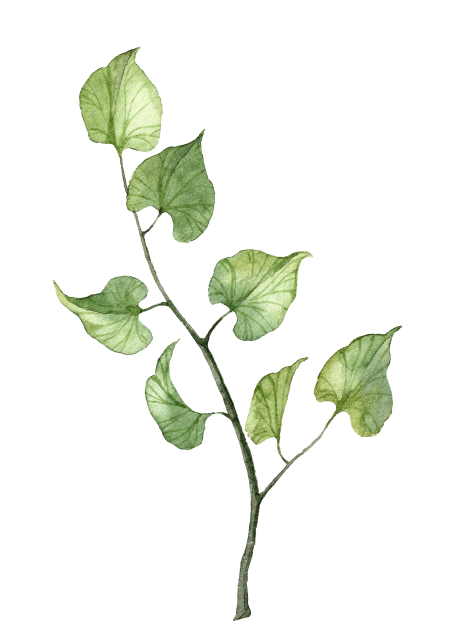 small image leaf 1