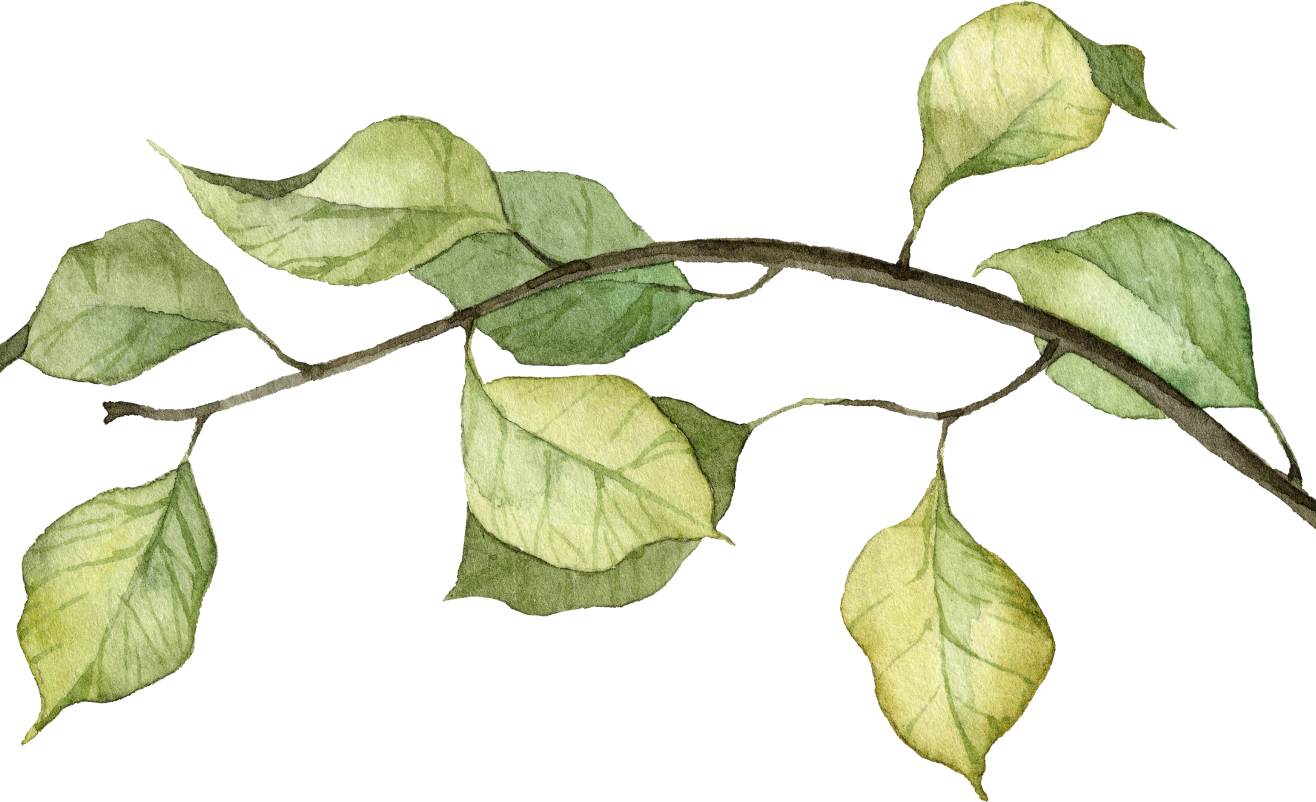 CTA Slider Leaf