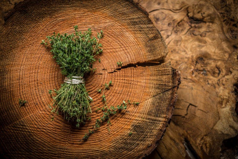 Bunch of fresh herb thyme on wooden block
