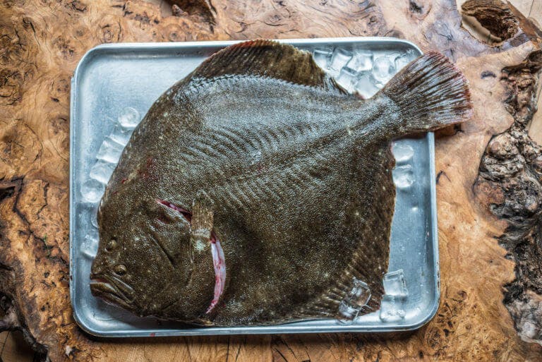 Fresh halibut fish on roasting tray
