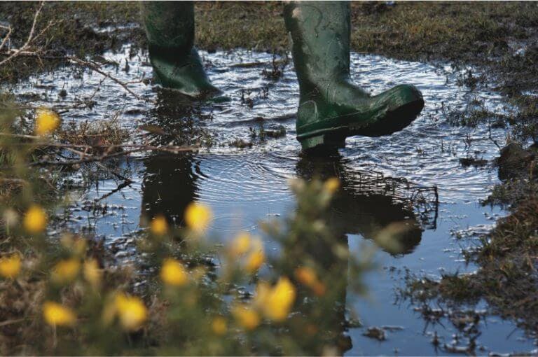 walking through muddy puddles in the New Forest on rainy day