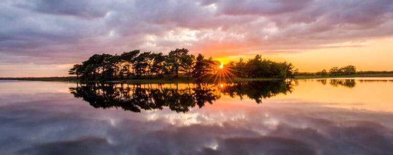 Hatchet Pond in the New Forest.