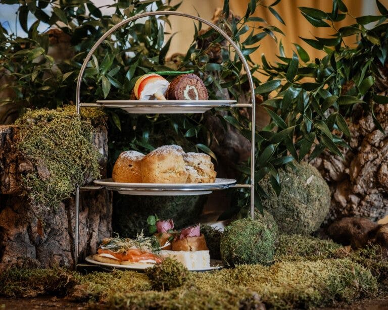 Afternoon tea presented on a three-tier stand with a woodland backdrop