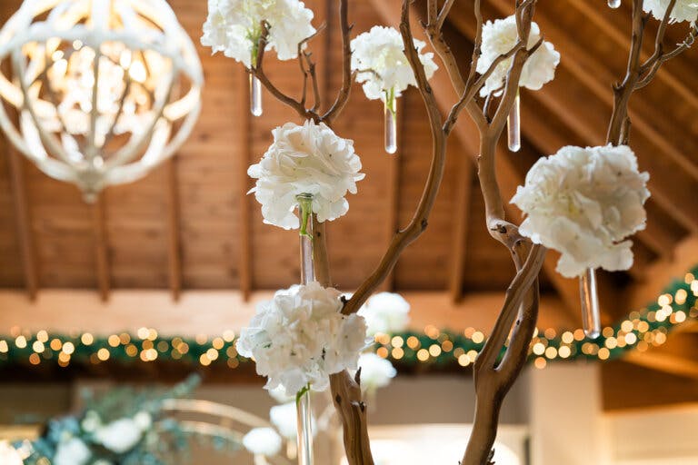 Close up shot of white flowers displayed in test tubes and attached to trees