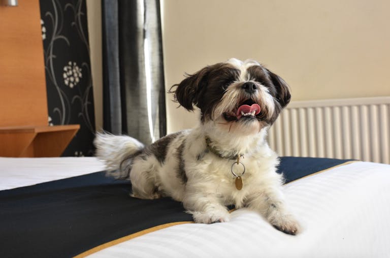 Screenshot 2025-10-23 at 15.50.46