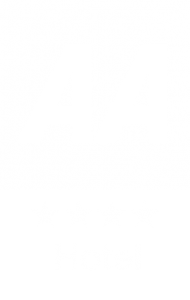 AA 4 Star