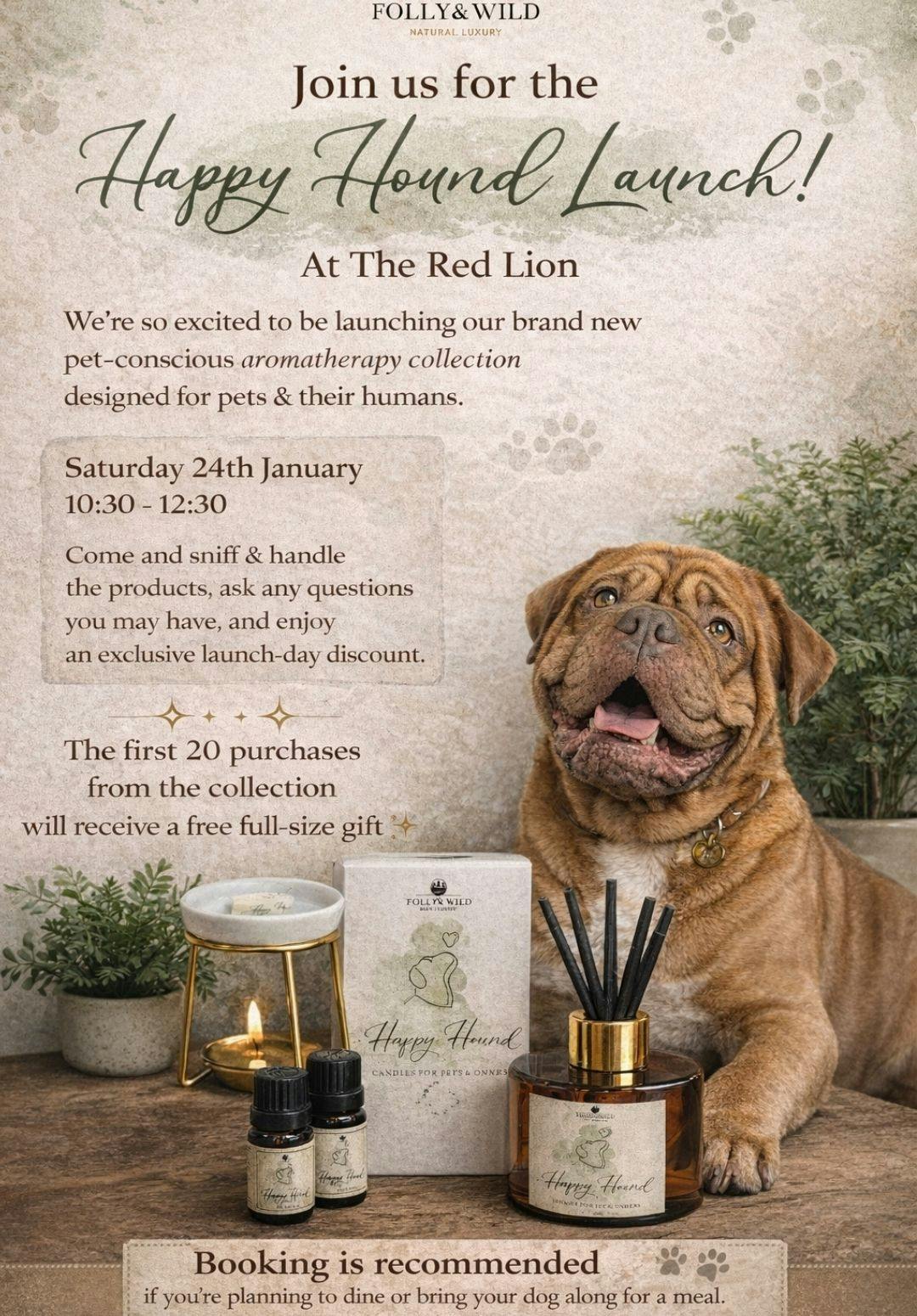 Folly & Wild Launch Event