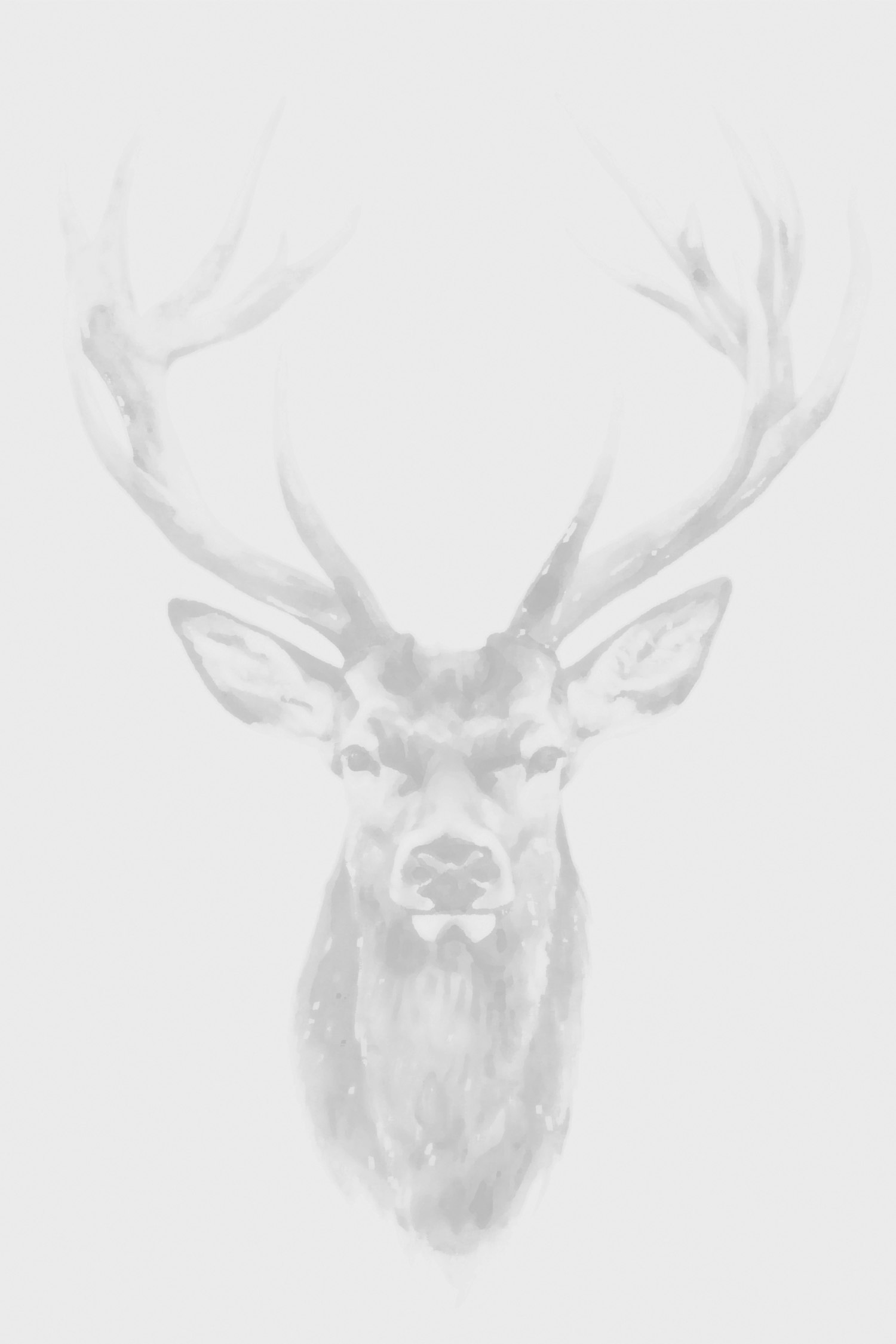 Stag Image