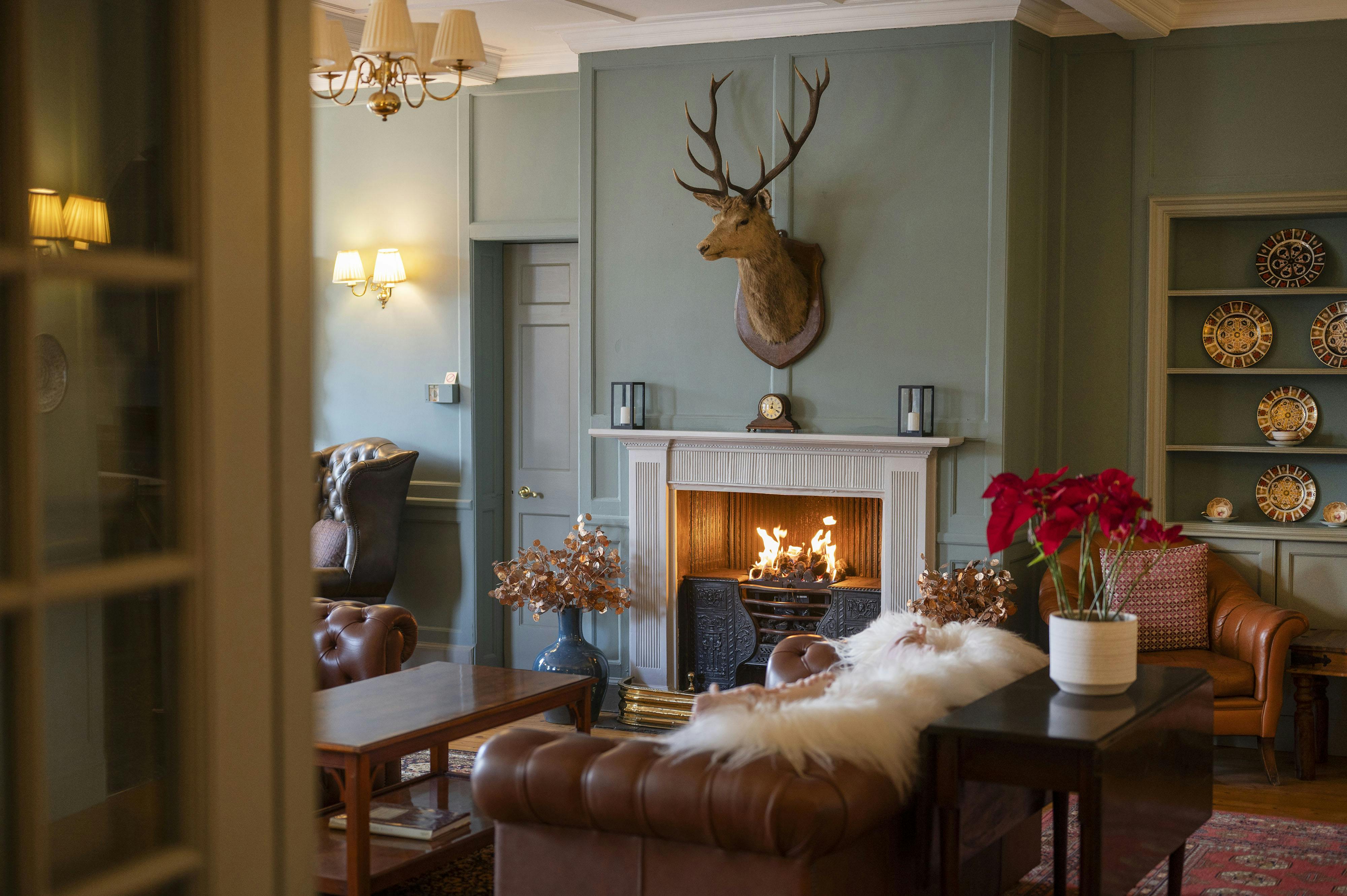 Picture of a hotel lounge with the fire on and stag head above